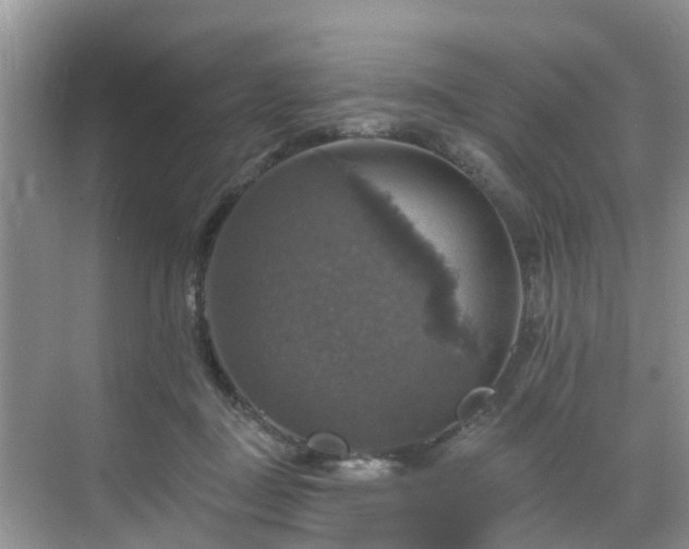 X0000068840363200605081245