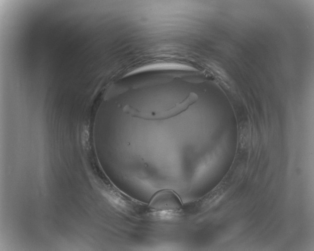 X0000068840365200605081245