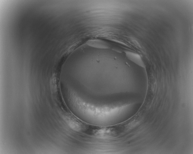 X0000068840366200605081245