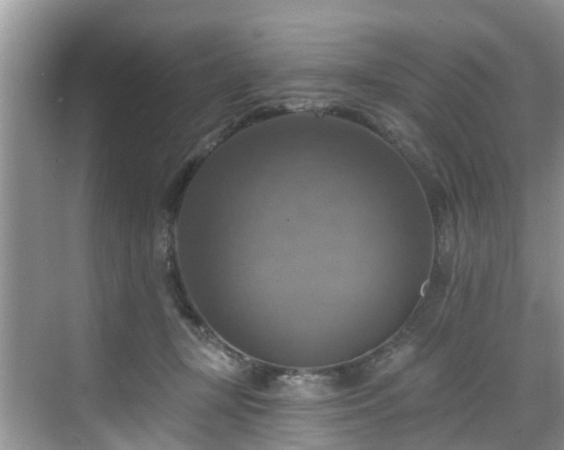 X0000068840367200605081245