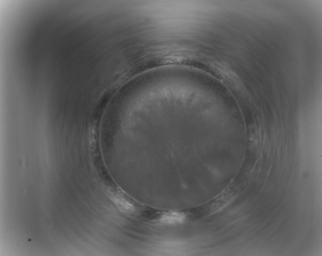 X0000068840369200605081245