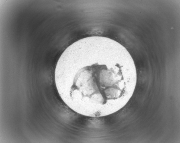 X0000068840370200605081245