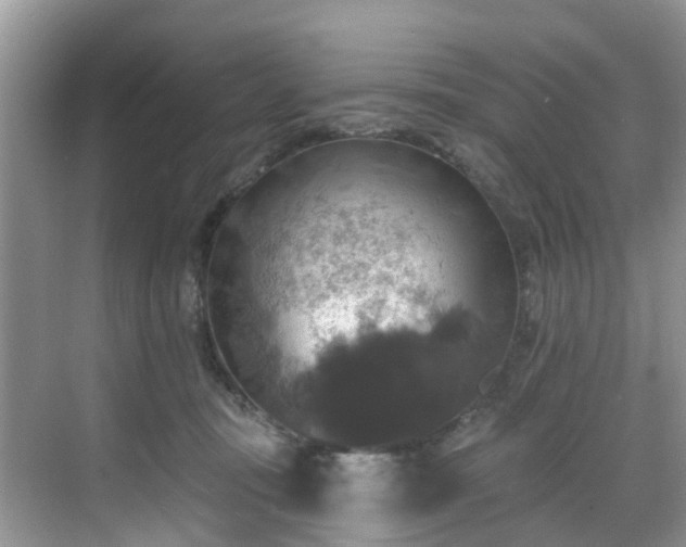 X0000068840371200605081245