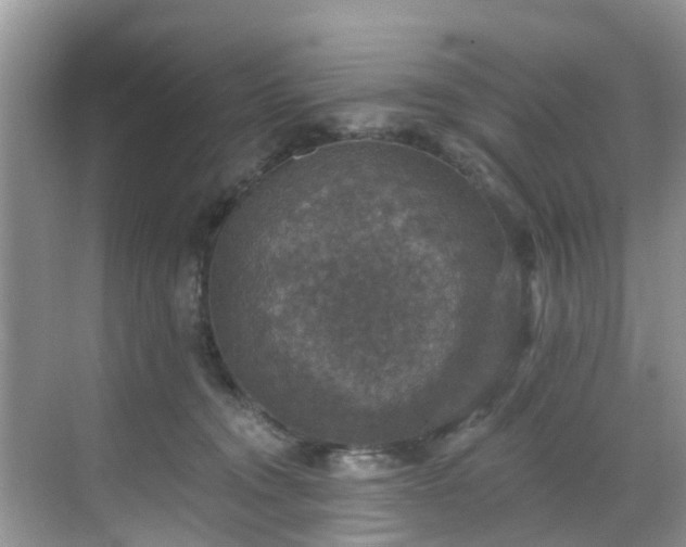 X0000068840372200605081245