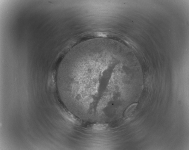 X0000068840373200605081245