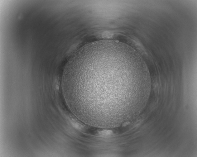 X0000068840374200605081245