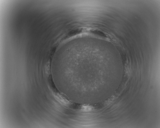 X0000068840376200605081245