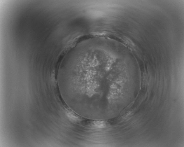 X0000068840377200605081245