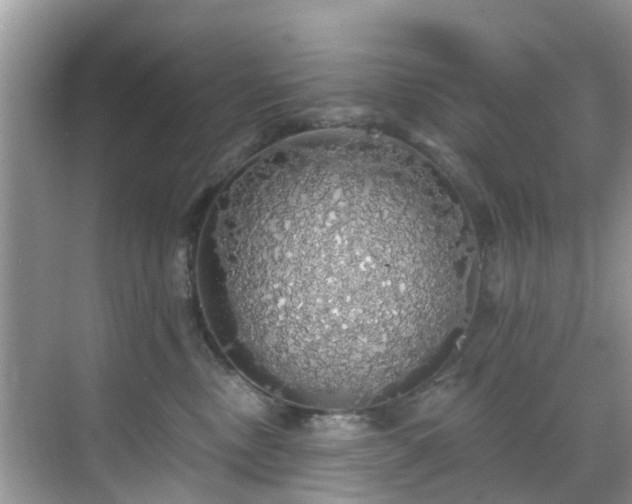 X0000068840378200605081245