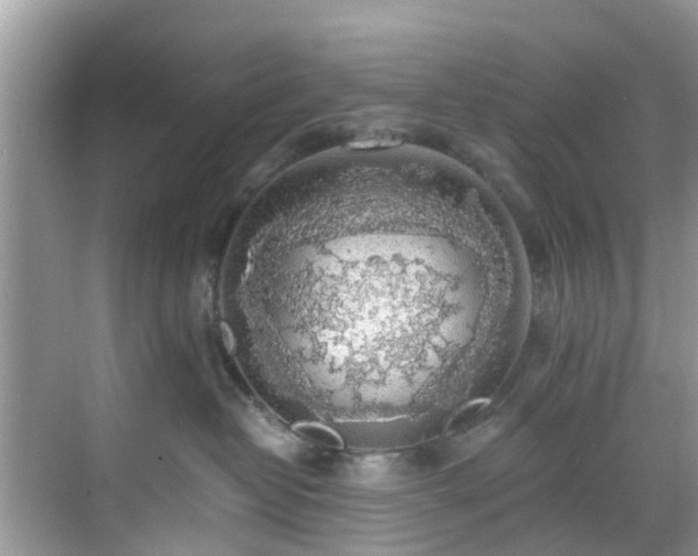 X0000068840382200605081245