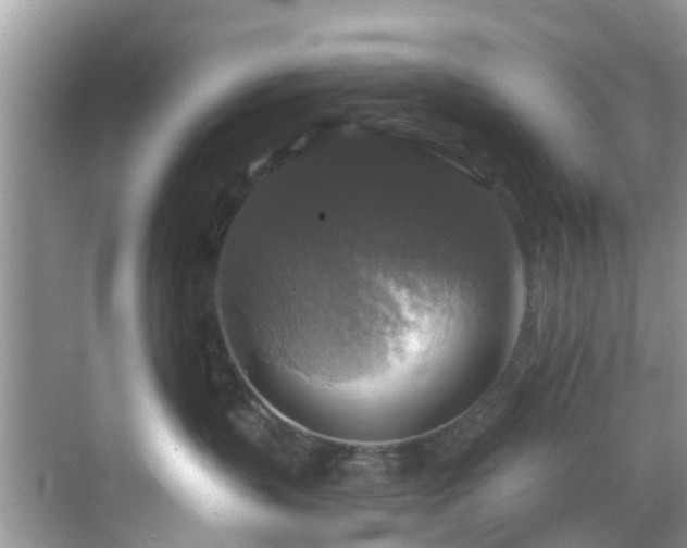 X0000068840383200605081245