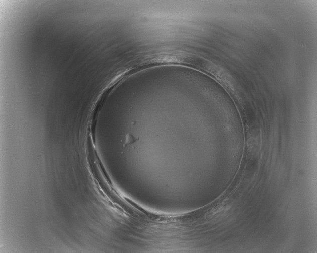 X0000068840386200605081245