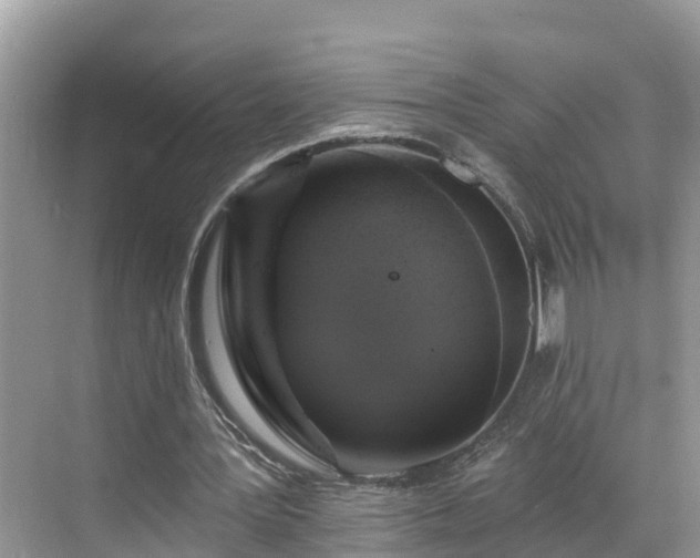 X0000068840387200605081245