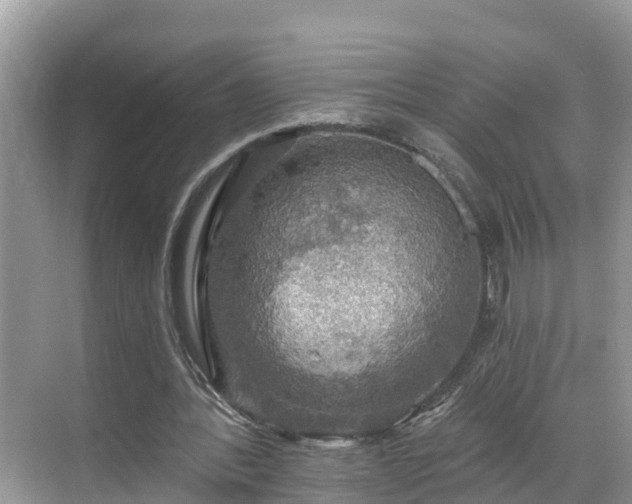 X0000068840388200605081245