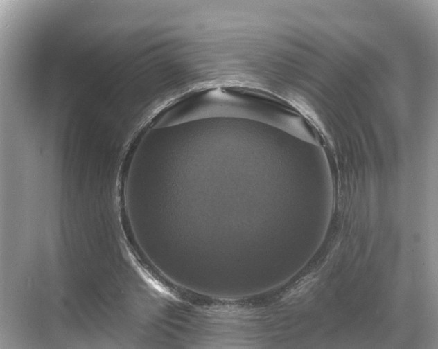 X0000068840389200605081245