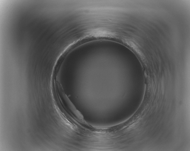 X0000068840391200605081245