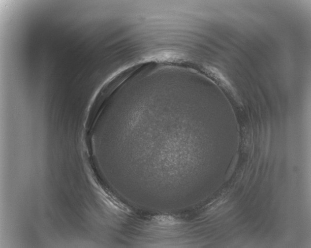 X0000068840392200605081245