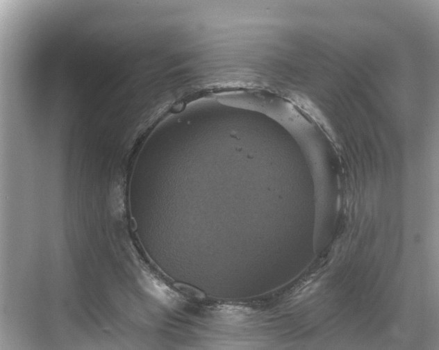 X0000068840393200605081245