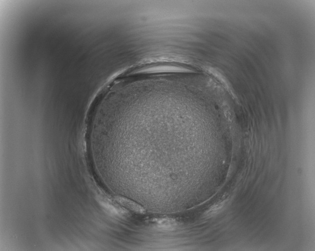 X0000068840395200605081245