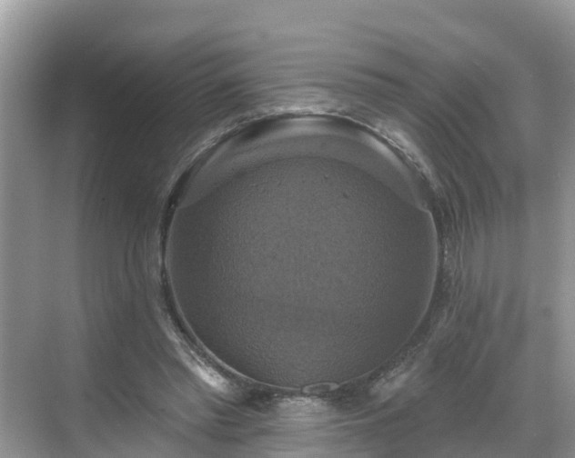 X0000068840397200605081245