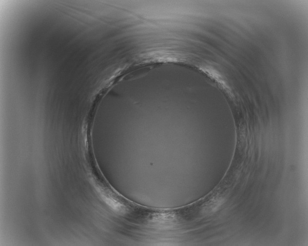 X0000068840398200605081244