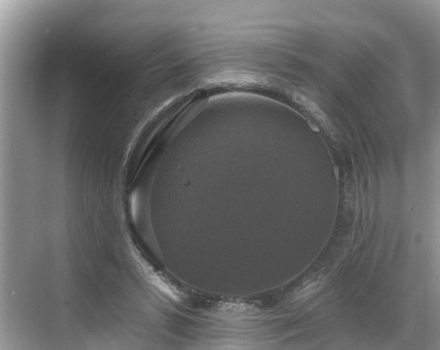 X0000068840399200605081244