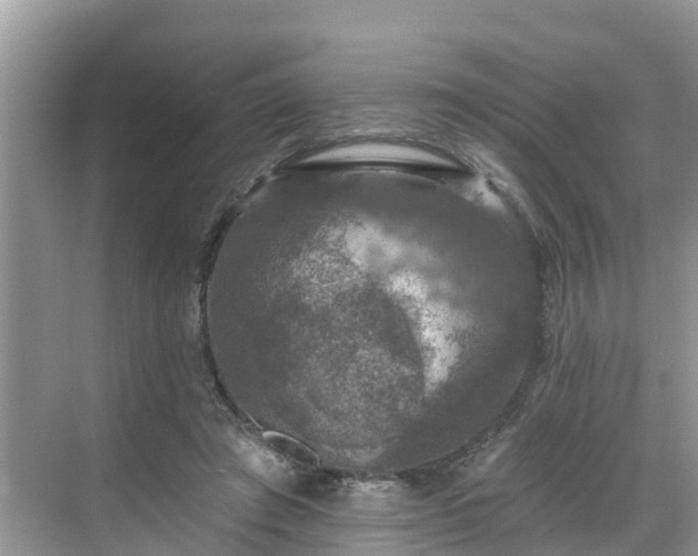 X0000068840401200605081244