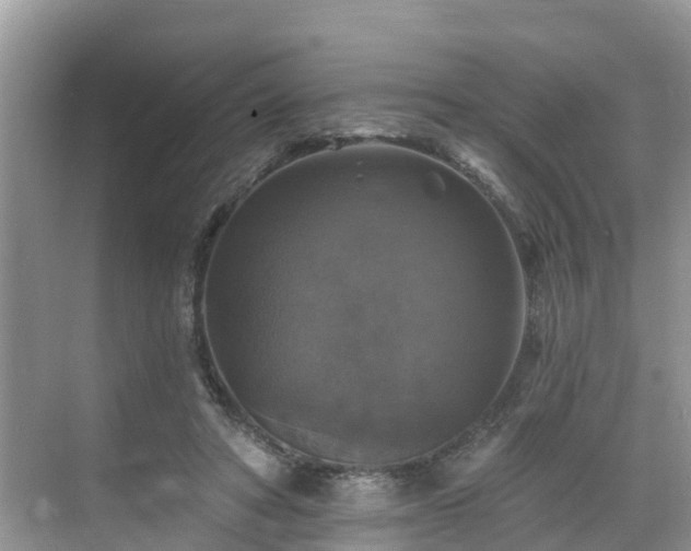 X0000068840402200605081244