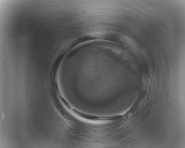 X0000068840404200605081244