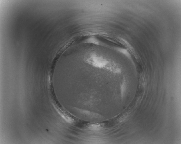 X0000068840405200605081244