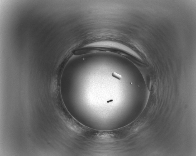 X0000068840407200605081244