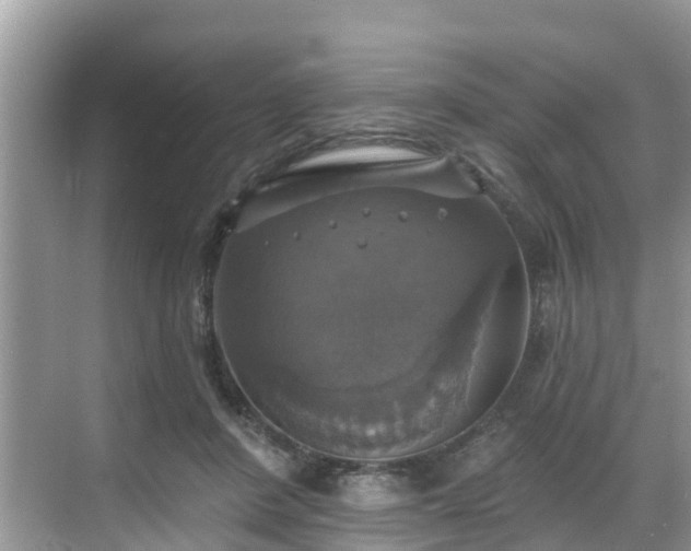 X0000068840408200605081244