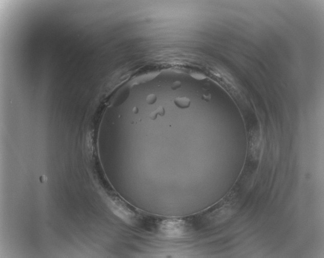 X0000068840410200605081244