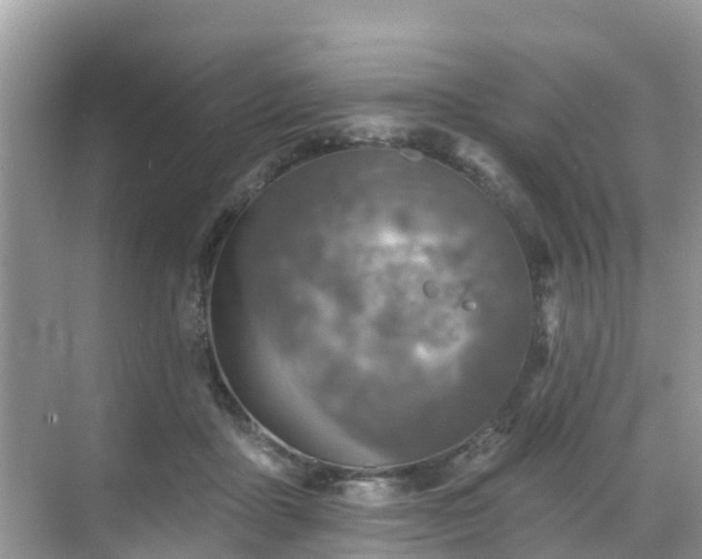 X0000068840411200605081244