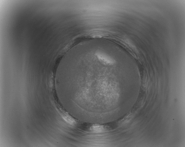 X0000068840413200605081244