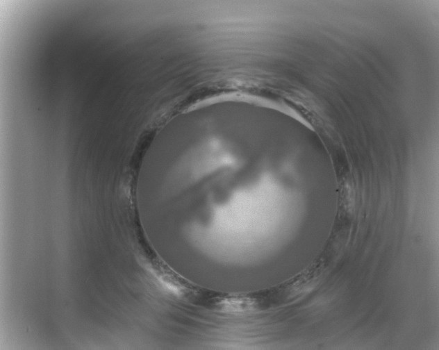 X0000068840415200605081244