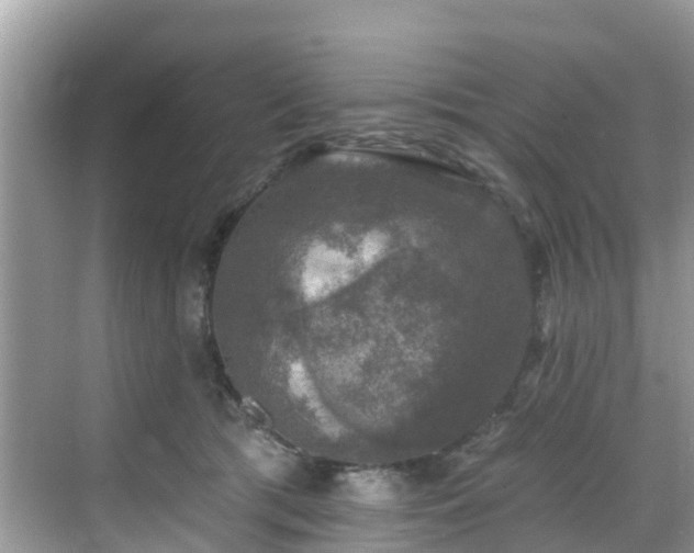 X0000068840417200605081244