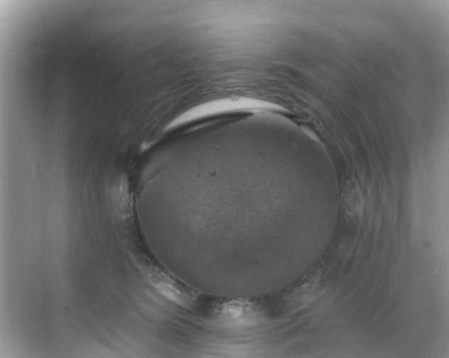 X0000068840420200605081244