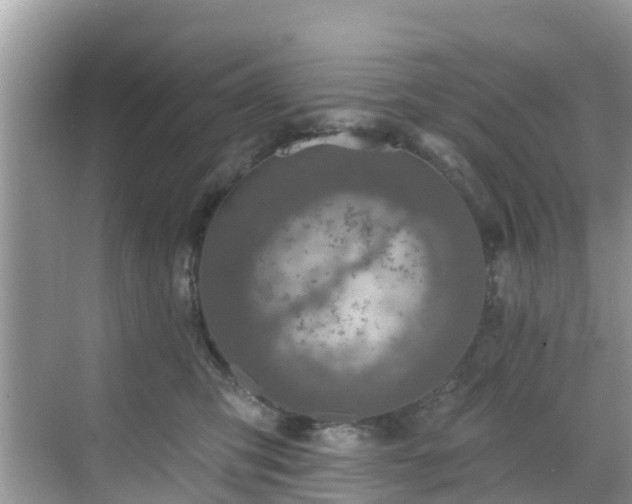 X0000068840423200605081244