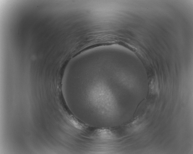 X0000068840424200605081244