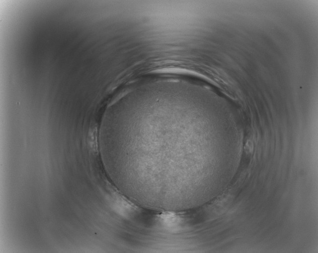 X0000068840425200605081244