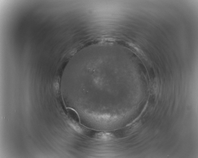 X0000068840427200605081244