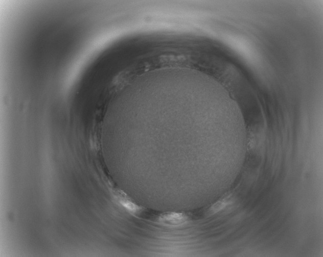 X0000068840431200605081244