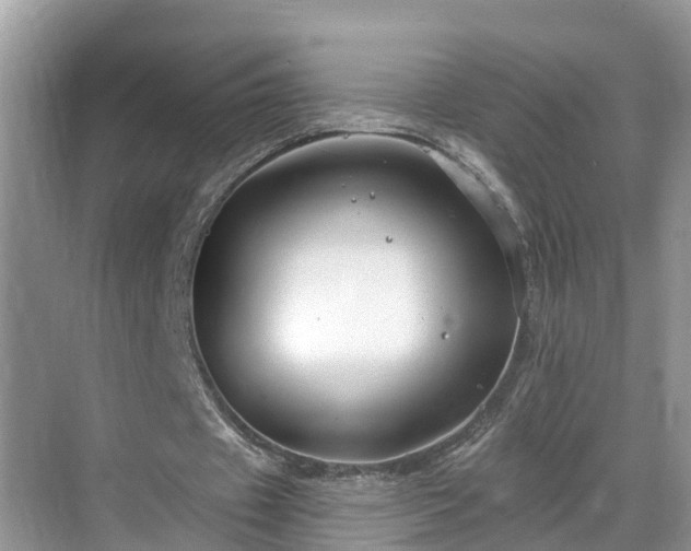 X0000068840433200605081243