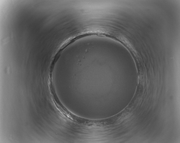 X0000068840434200605081243