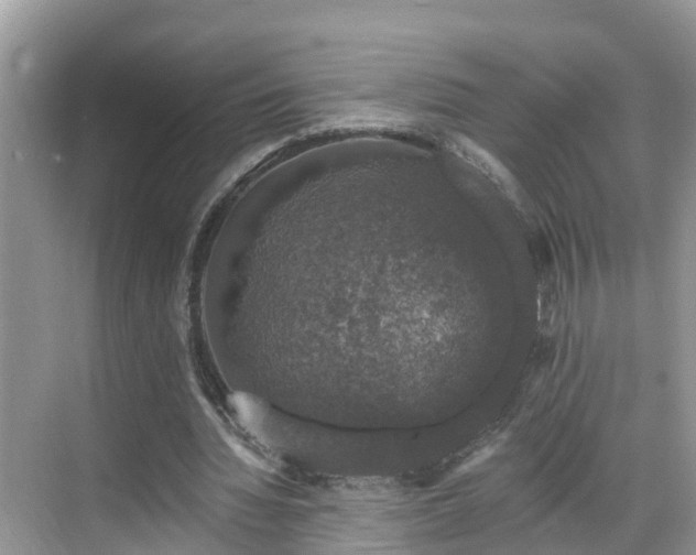 X0000068840436200605081243