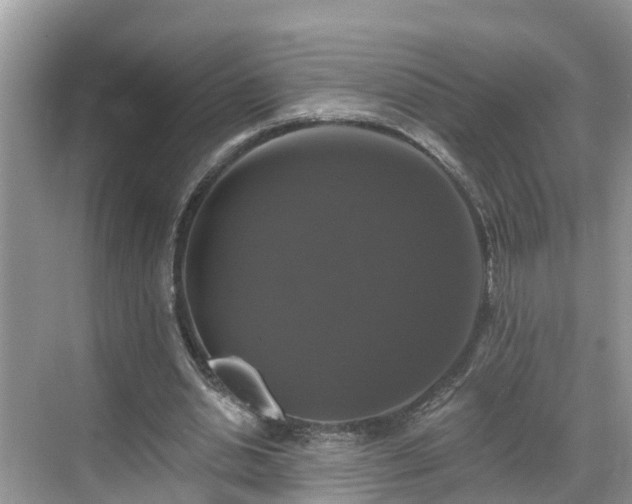 X0000068840438200605081243