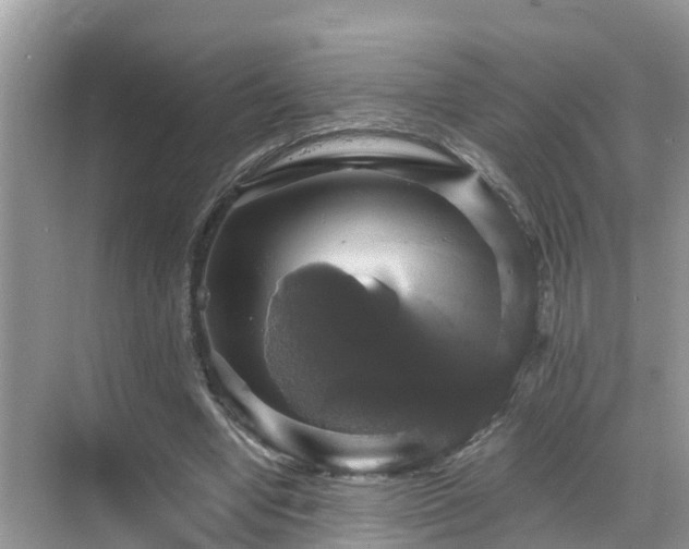 X0000068840442200605081243