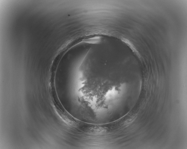 X0000068840443200605081243