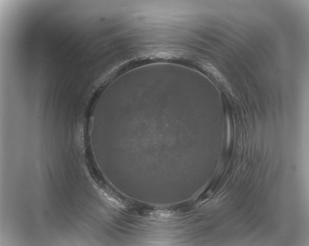 X0000068840444200605081243